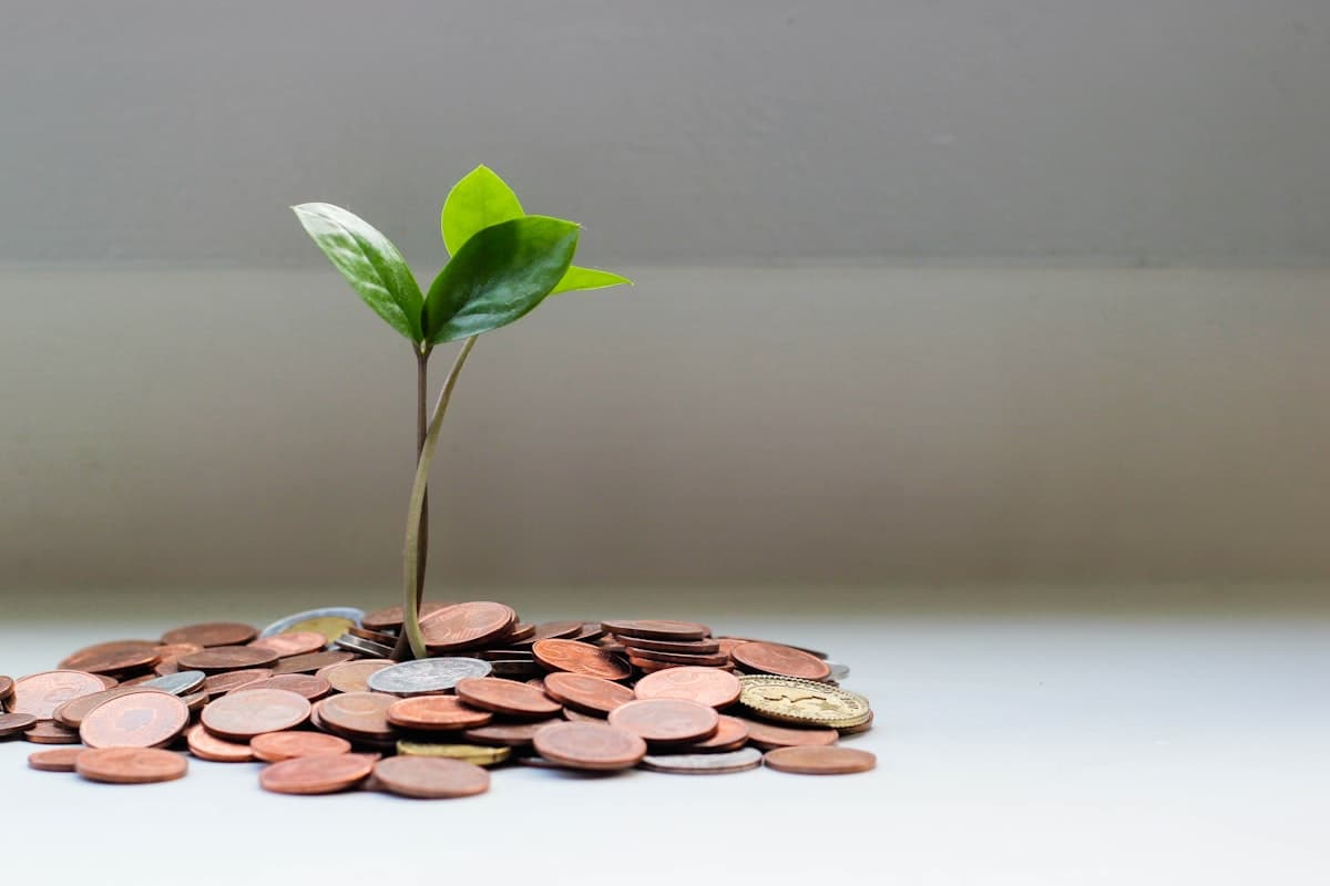 Jak ušetřit na lécích bez předpisu v roce 2025